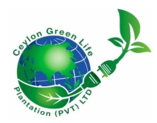 Ceylon Green Life Plantation - Chunnakam 1